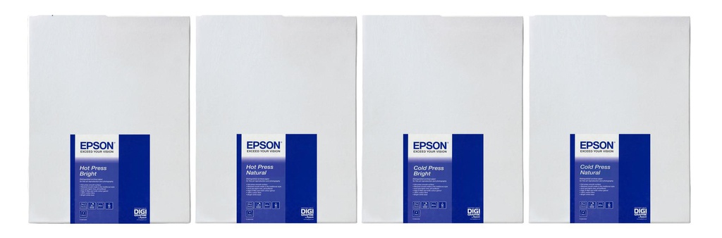 EPSON S042306