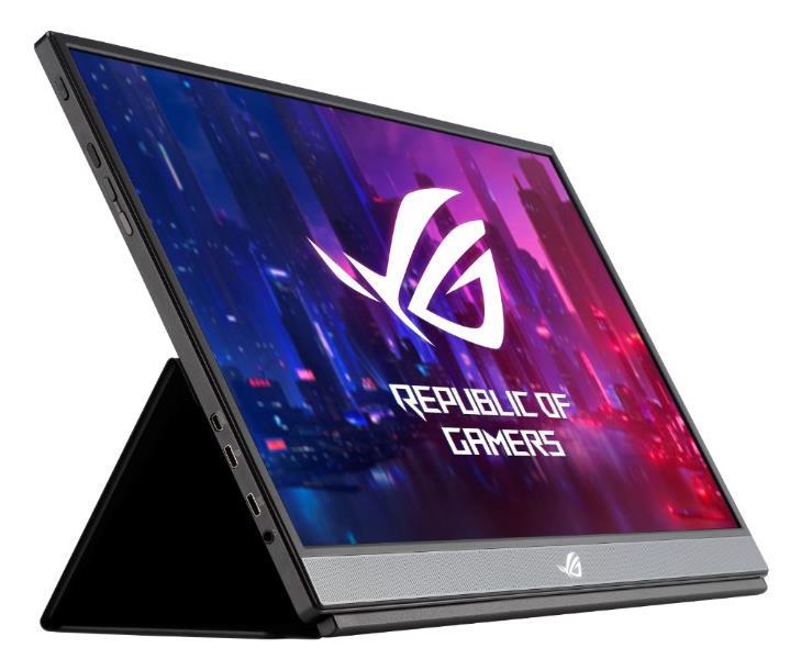 ASUS TeK XG17AHP