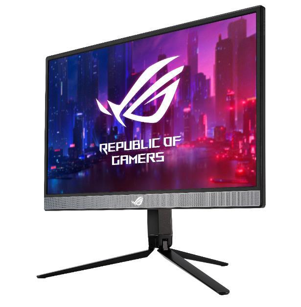 ASUS TeK XG17AHP