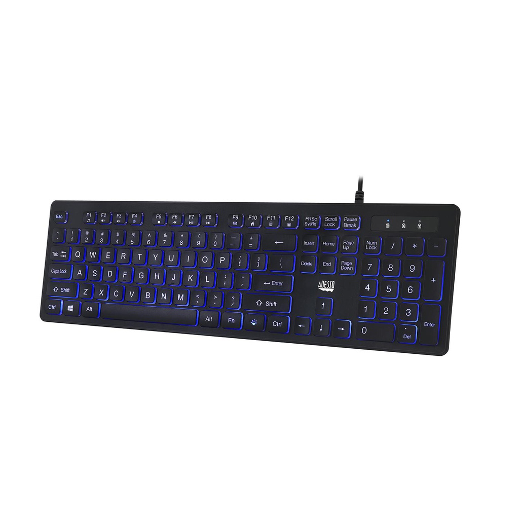 Adesso AKB-139EB, Standard, USB, QWERTY, Black