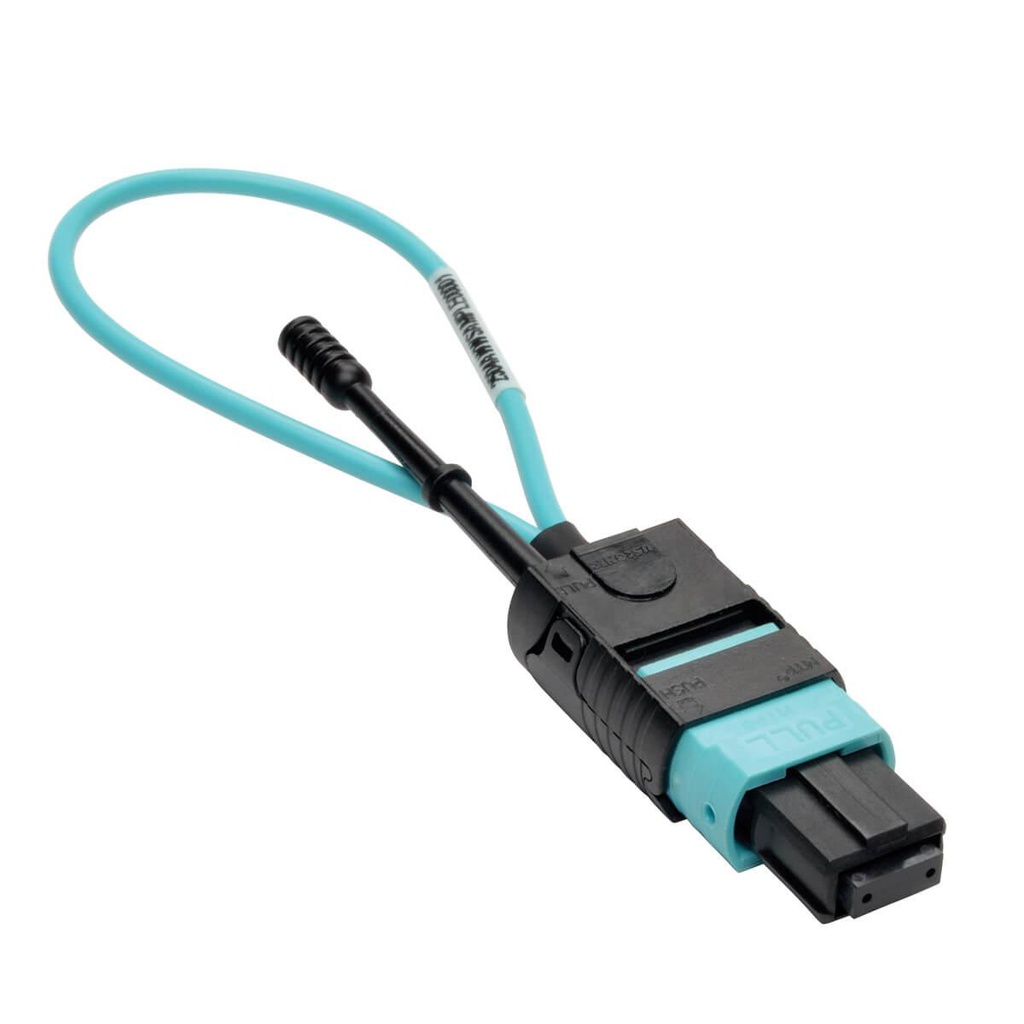 Testeur de câble réseau Tripp Lite N844-LOOP-12F