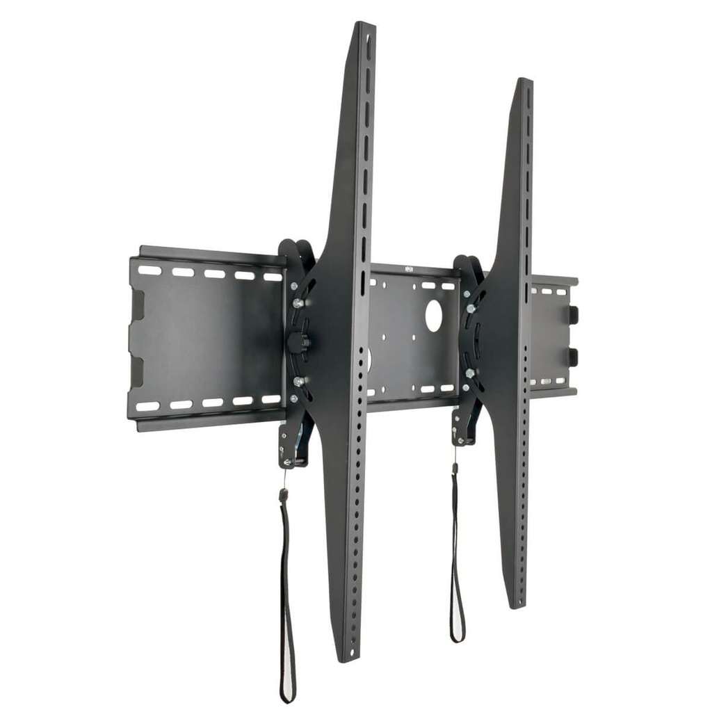 Support TV Tripp Lite DWT60100XX