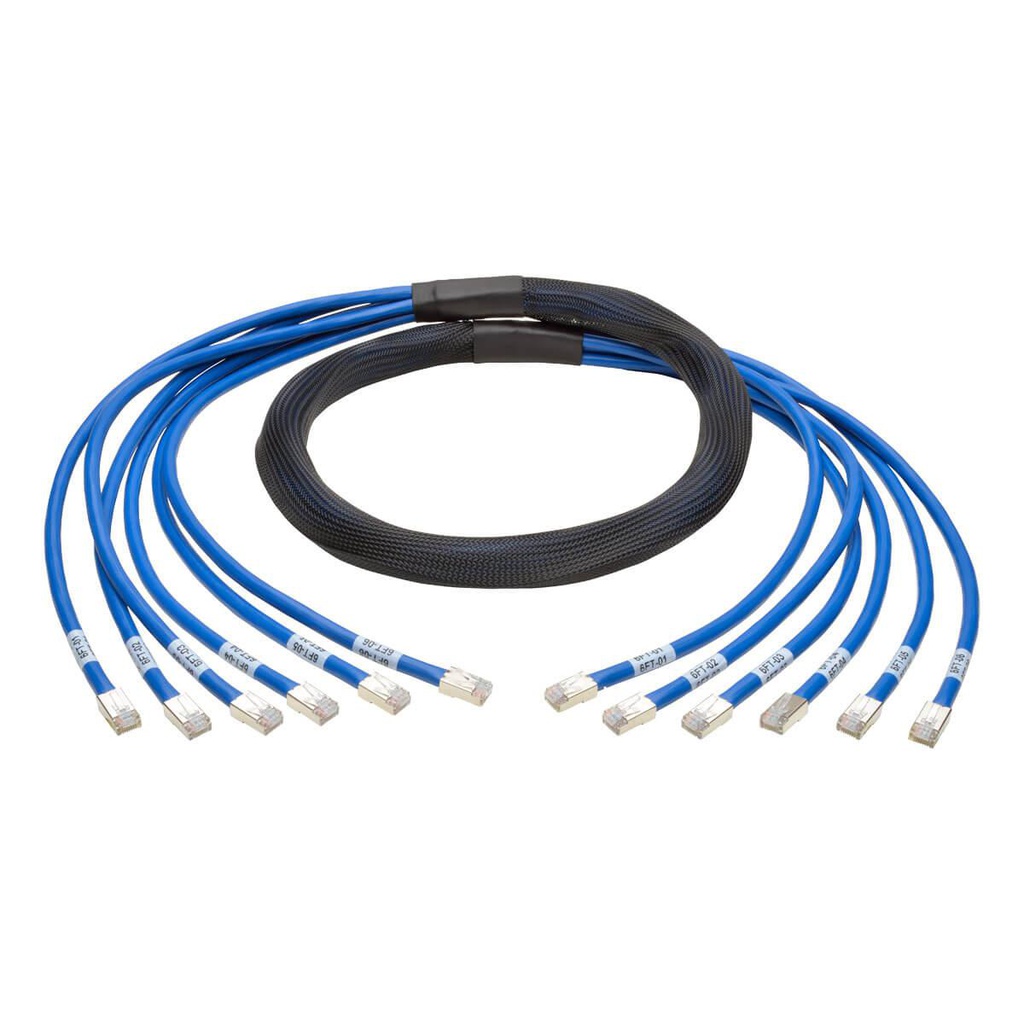 Tripp Lite Cat6/Cat6a, 6ft, 1,83 m, Cat6, RJ-45, RJ-45 (N261-006-6MM-BL)