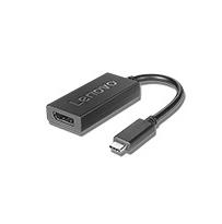 Lenovo USB-C - DisplayPort, 200 mm (4X90Q93303)