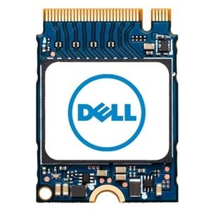 DELL AB292880, 256 GB, M.2 (SNP112233P/256G)