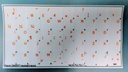 FRENCH QWERTY TRANSPARENT KEYBOARD STICKERS ORANGE 14X14mm